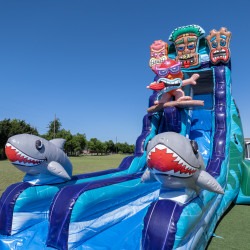 Tiki20Tovi2022ft20Single202025207 1755995913 22FT Tiki Tovi's S/Ln Wet/Dry slide